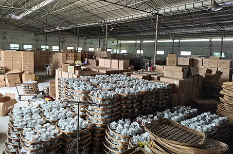 Factory Tour