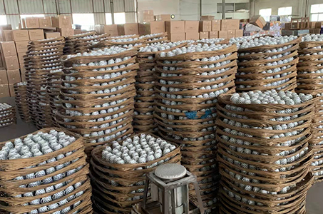 Factory Tour